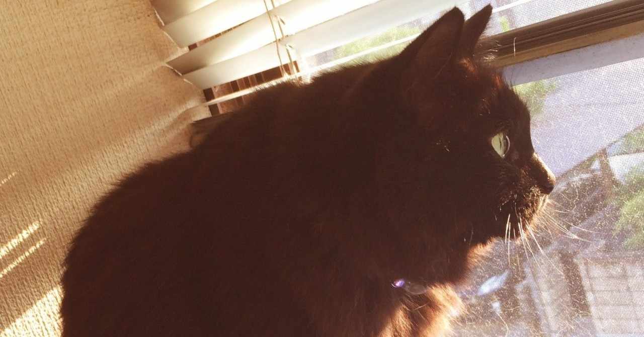 チャミ死にたまふことなかれ Asachun Note