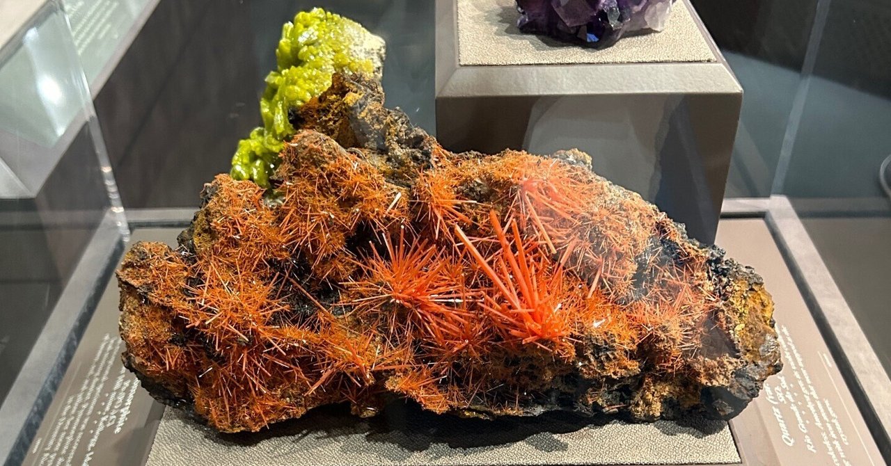 図録・宝石】地球のしずくたち スミソニアン博物館 アート