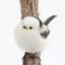とりすき