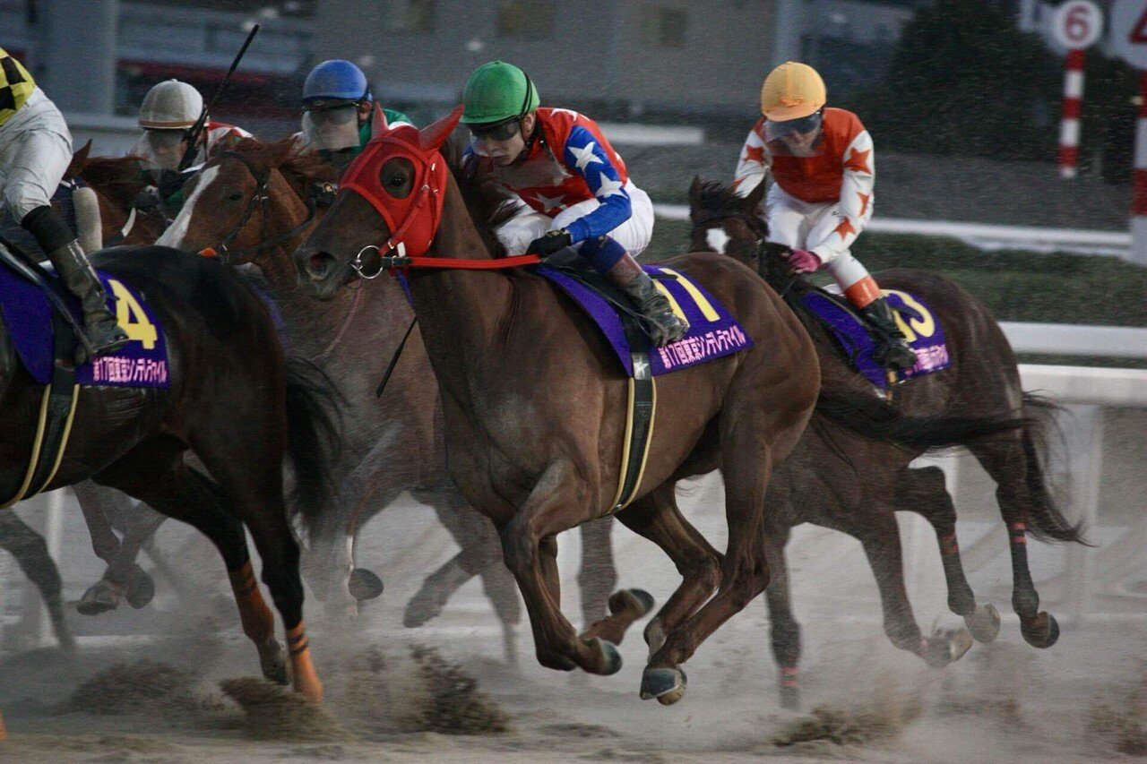 人生で初めて一眼レフを買ったオタクの自分語り〜Canon EOS KissX2と