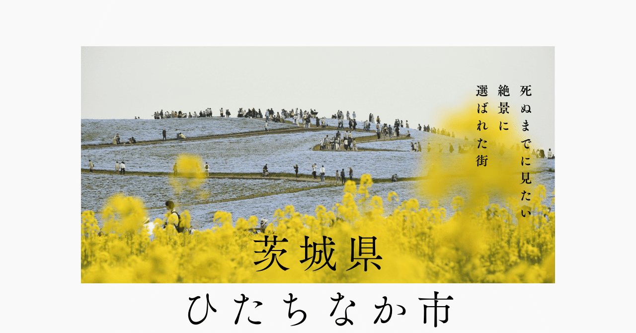 デジタウン　ひたちなか市　202009版 ゼンリン（ZENRIN） ゼンリン電子住宅地図 デジタウン 茨城県