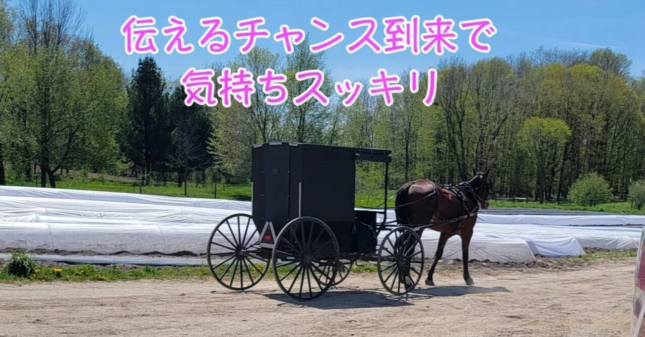 心スッキリ／隣人パットとアーミッシュファームに｜yahoi ／ライフ
