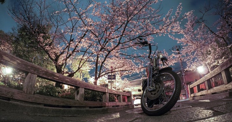 GoProで撮る 京都 祇園白川の夜桜と鉄馬
