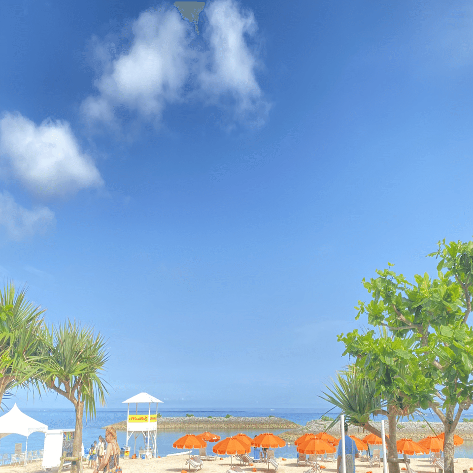 エメラルドグリーンの海上250mを空中散歩！PANZA沖縄のジップラインを