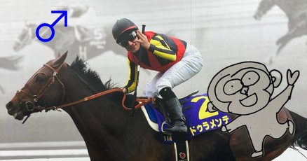 ドゥラメンテ」の人気タグ記事一覧｜note ――つくる、つながる