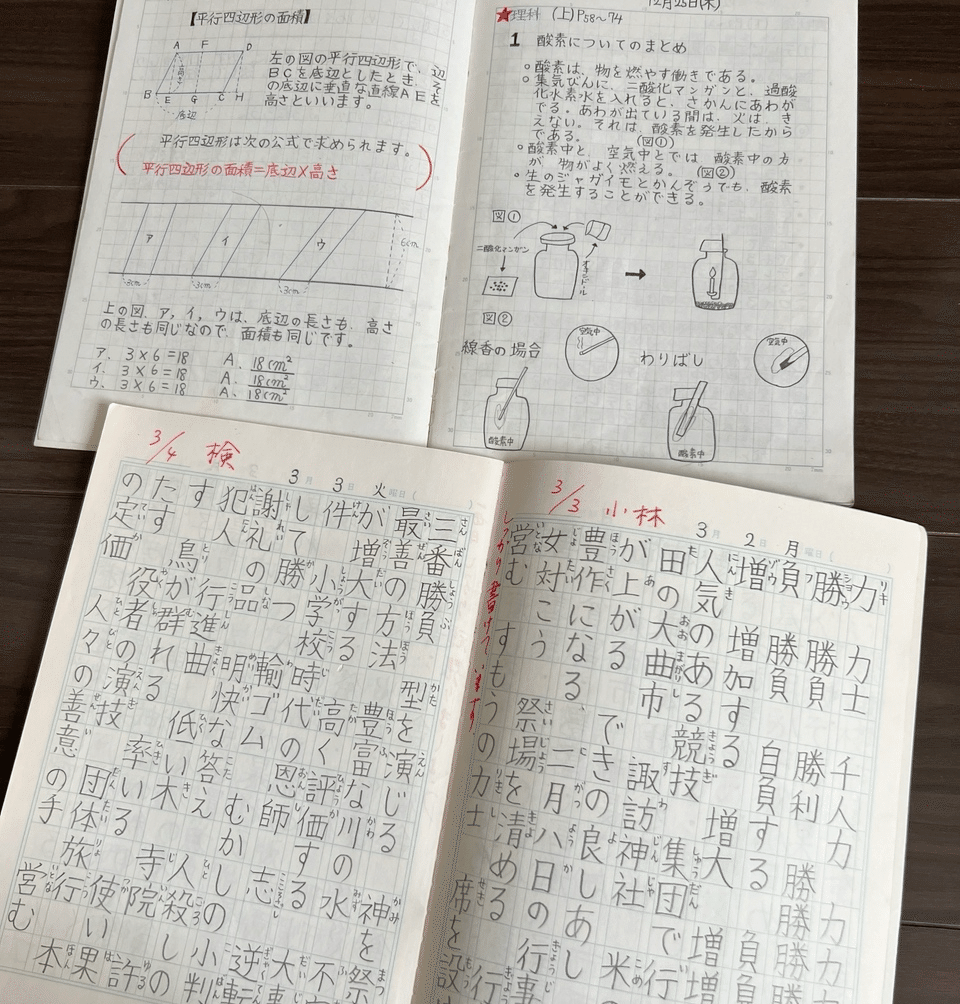 医系数学ノート 駿台 数学ZX 板書ノート プリント 数学四天王 杉山先生 医学部