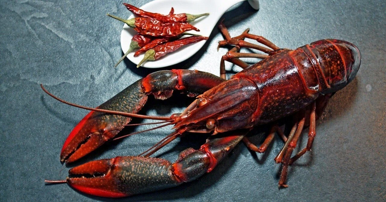 ロブスターはエビというよりザリガニ、ザリガニはカニじゃなくてエビ