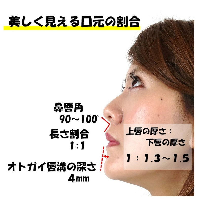 鼻下 人中 を短くする鼻唇角強化体操のやり方２選 Revisionginza Note