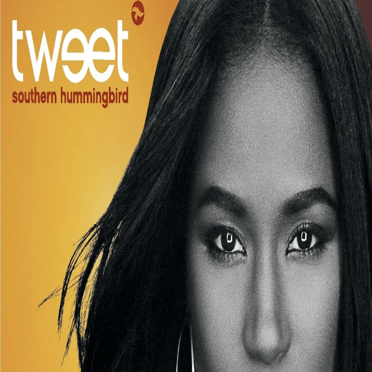 Tweet 『Southern Hummingbird』/ ソウルフルでプログレッシヴで