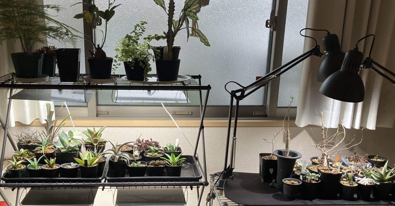 メタルラック ブラック 大型 植物育成用 特価 メタルラック ブラック 大型 植物育成用