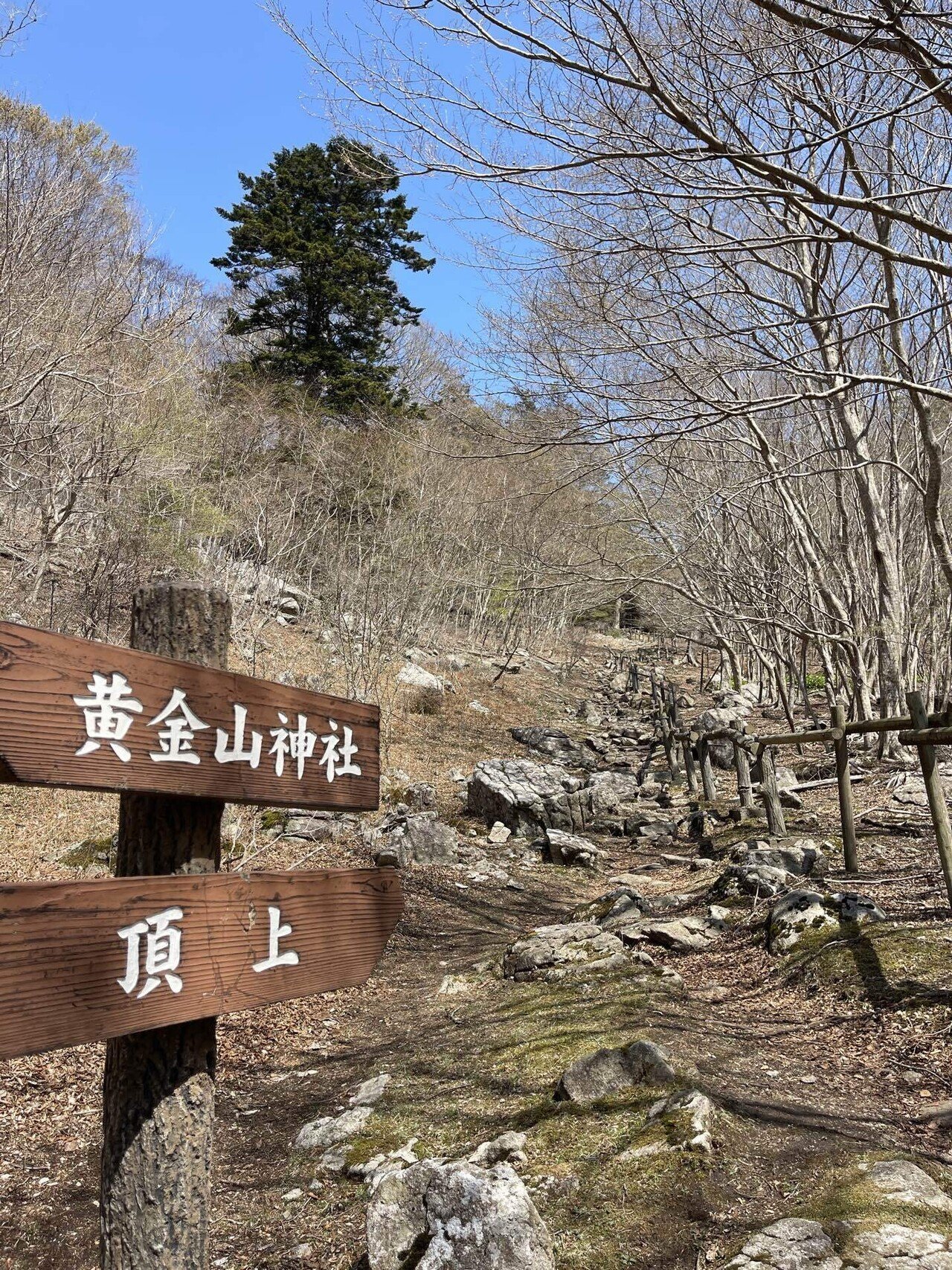 金運上昇パワースポット「金華山」へ｜佐藤光輝