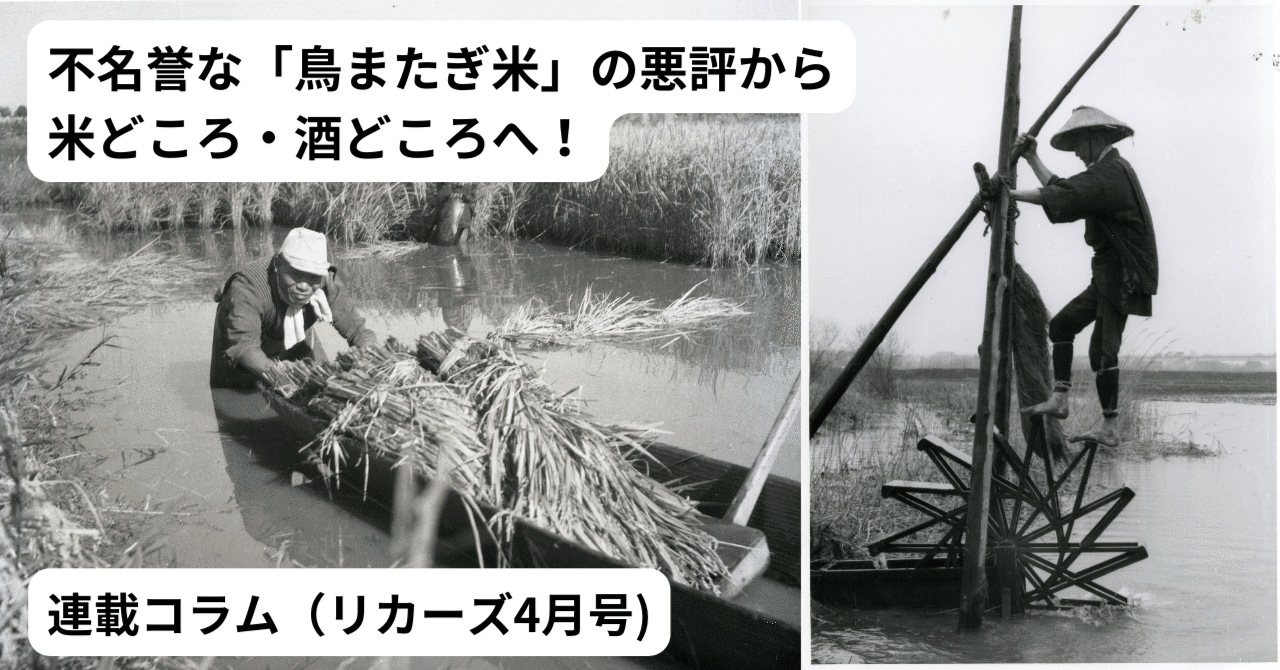 日本酒、商業