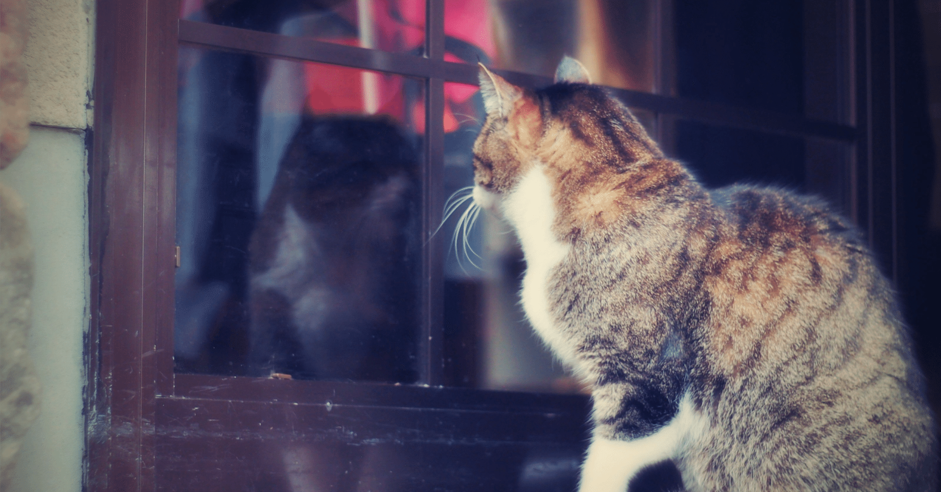 全身鏡、自問自答！その1｜のら