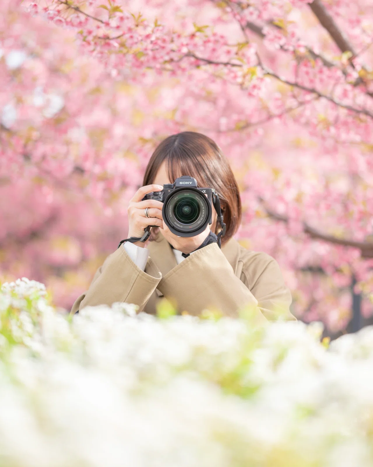 作例あり】Z 70-200mm f/2.8 VR S｜むぎ