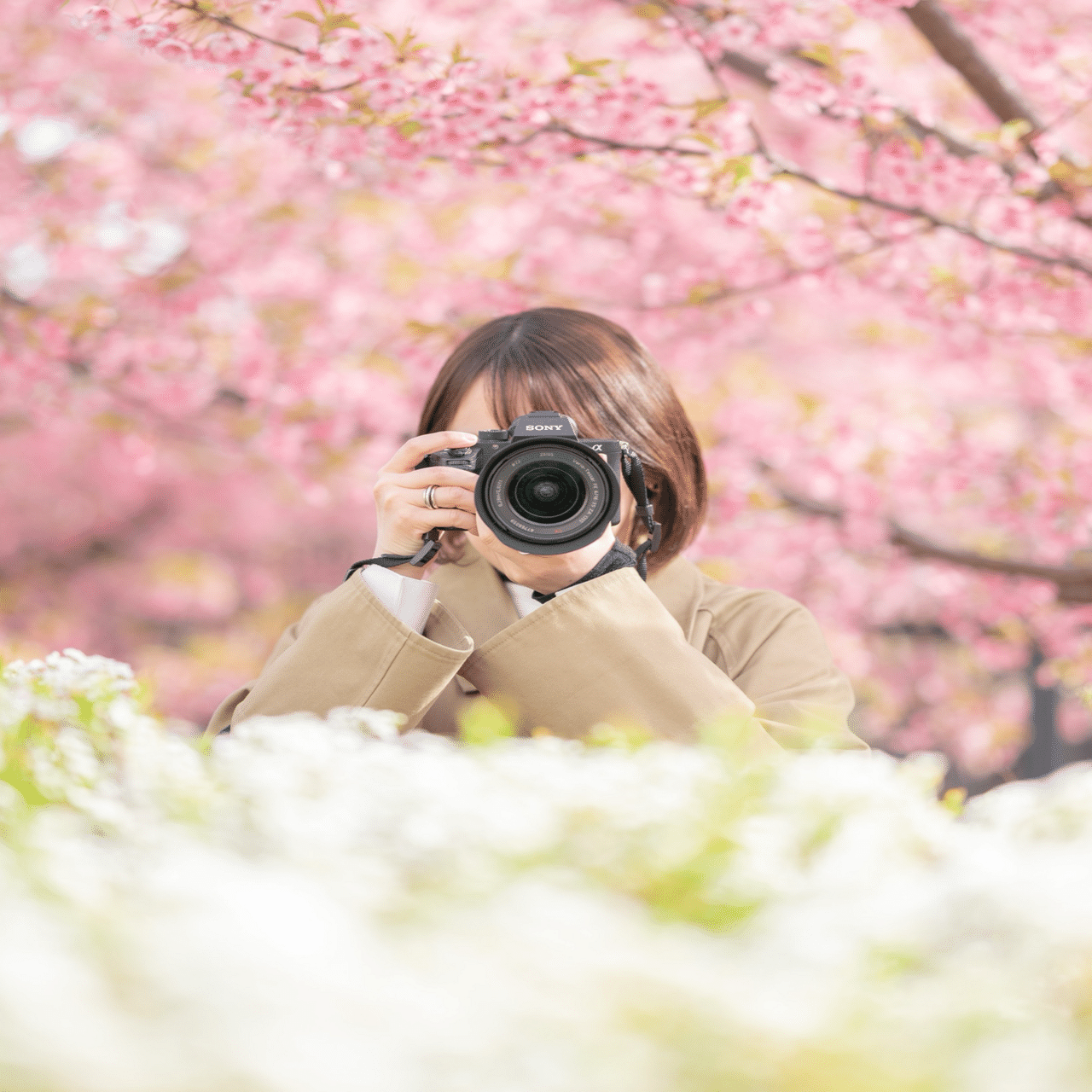 作例あり】Z 70-200mm f/2.8 VR S｜むぎ