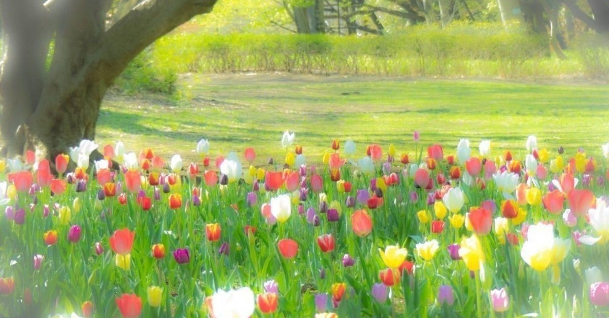 優しい絵柄に確かな技術力が光る挿絵画家メイベル・ルーシー