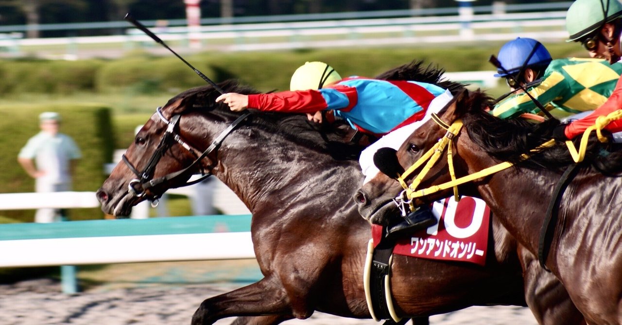 デジタルカメラで撮影しました過去の競馬の写真 Nikon D500は競馬撮影に最適な一眼レフカメラ【AF＆連写性能がイイ