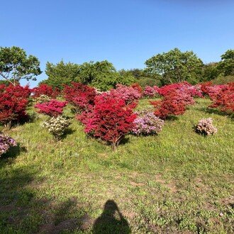 トップに移動