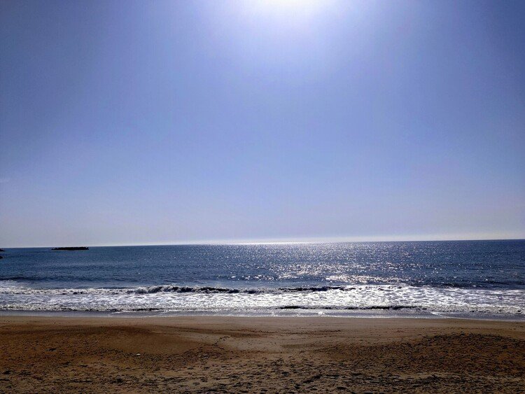 朝は海辺を散歩して、海を眺める⟡.·*.   海はいいな～波の音に心静まる時間。