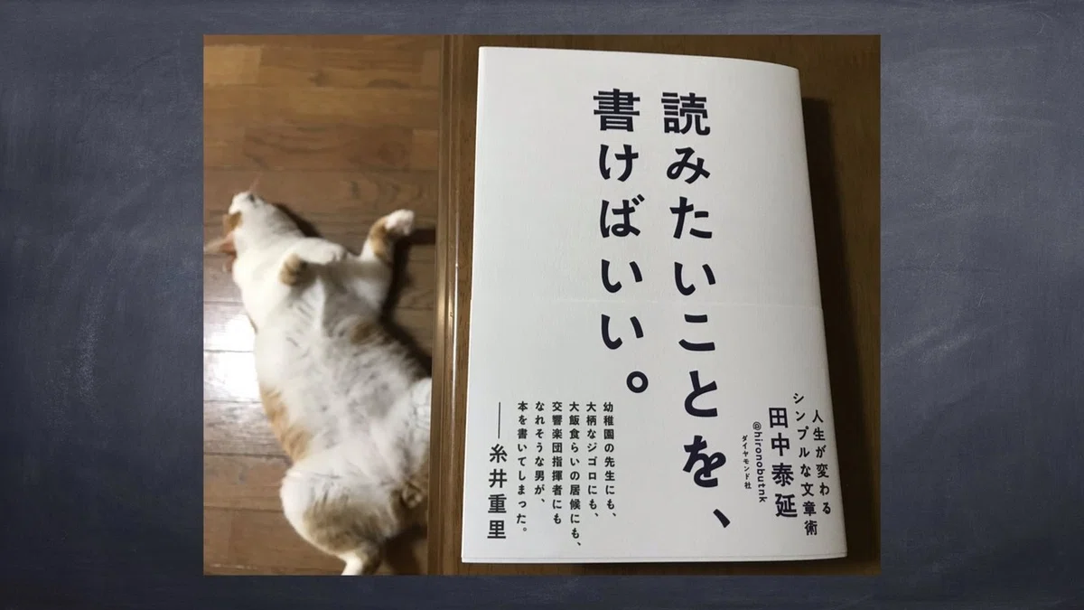 画像44