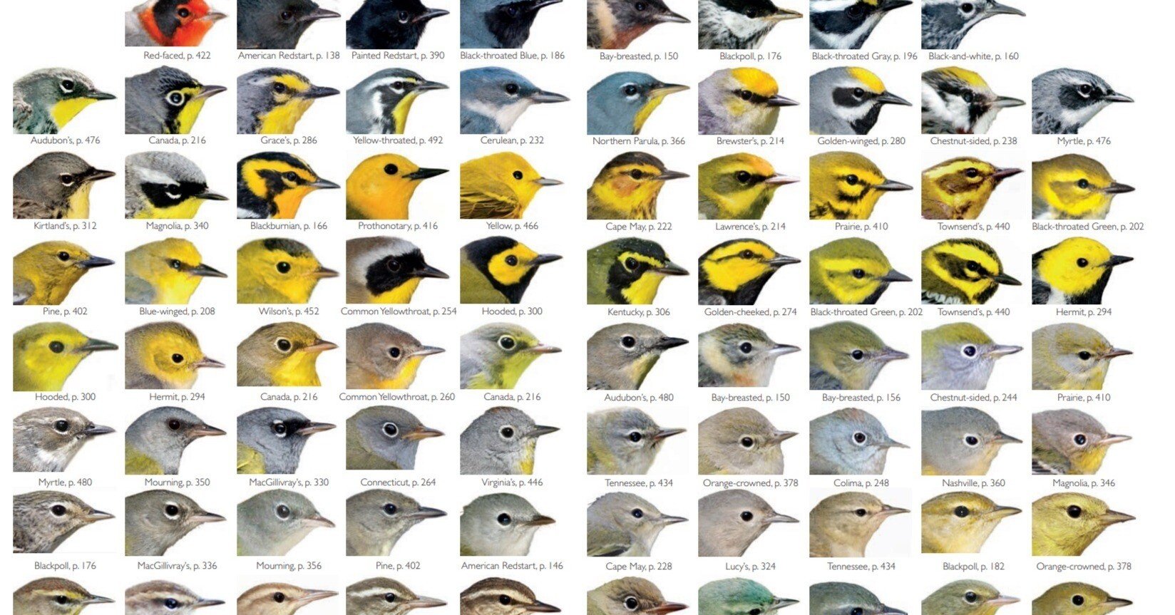 f13ae0bb4cc57daef826262aea3f54