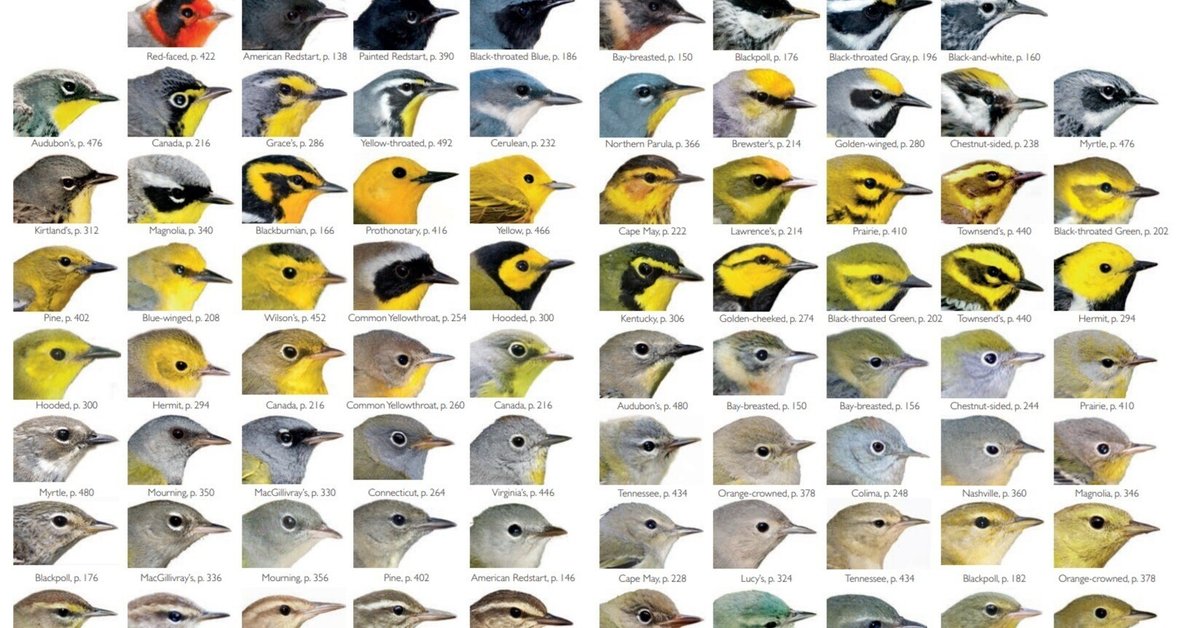 黄色い鳥 全長10cmの黄色い鳥 - 清水正廣のバードカービング・アート