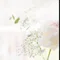 ツインのくゆり空