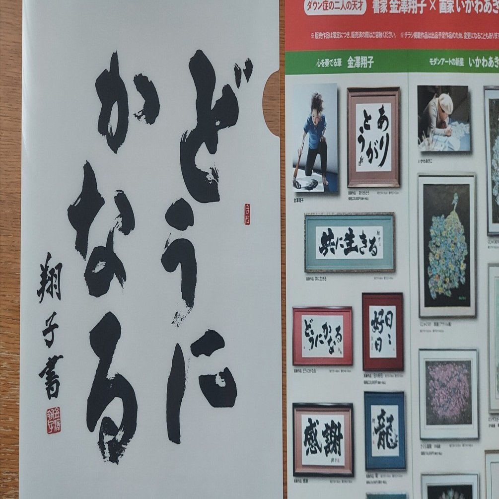 人生どうにかなる”本当に「どうにかなる」と思わせた金澤翔子さんの書