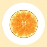 みかん🍊