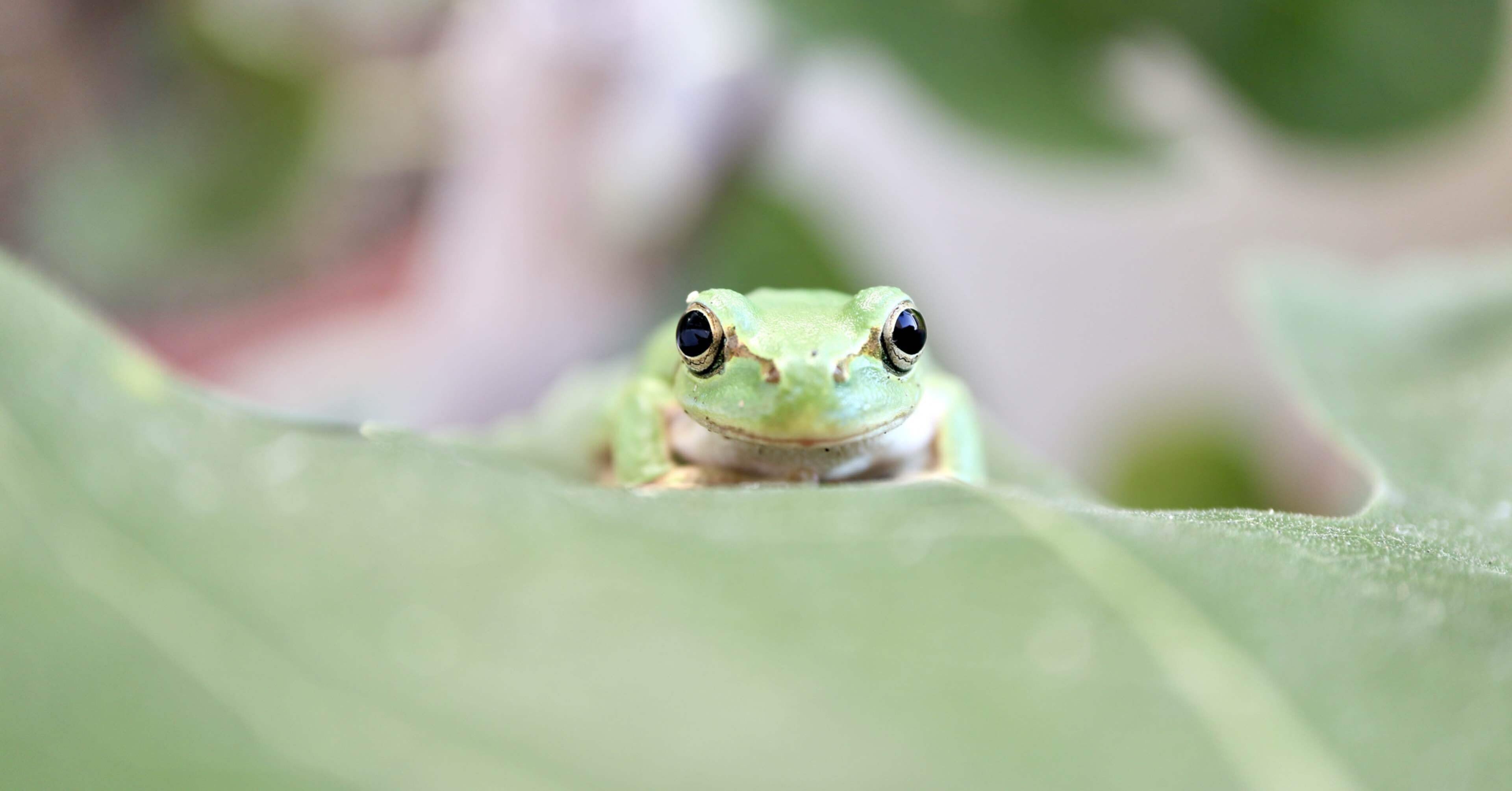 a4d601a33b466f85f1d24d5397cbca