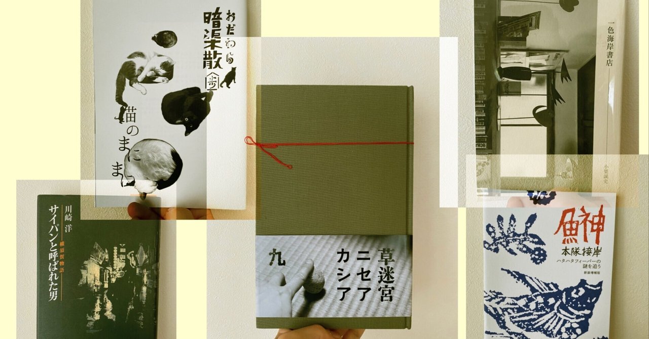 横須賀ブックミュージアム2024で出会った書籍たち｜休憩室読書中座記