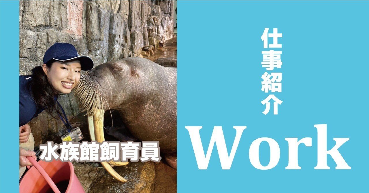 飼育員 若手飼育員もトレーニング！？|みらいを見つめるチンパンジー｜ブログ