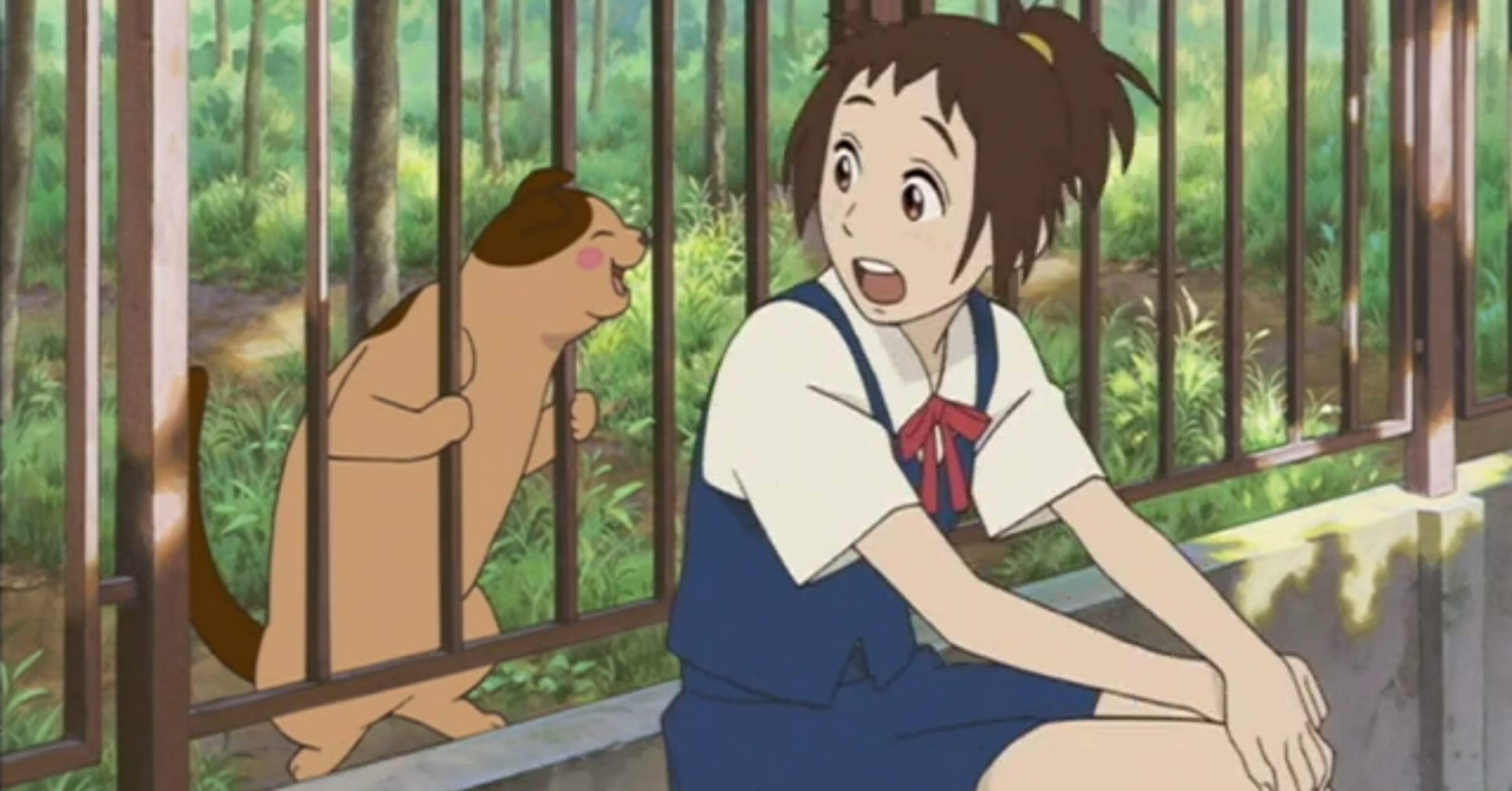 猫の恩返し」と答える全ての人に①(考察編)｜安曇川