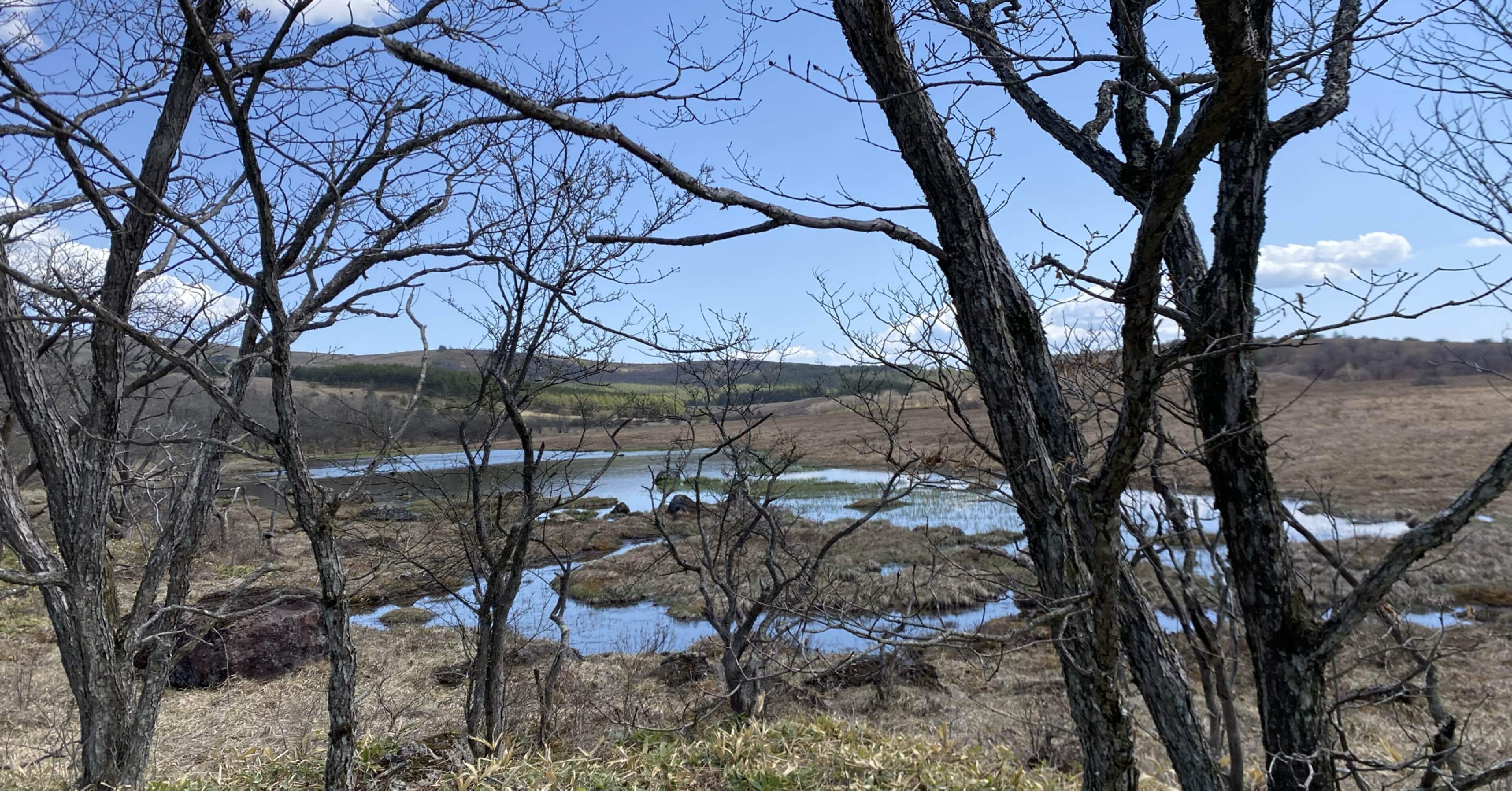 八島湿原(八島ヶ原湿原)｜之哲／Yuki Satoru