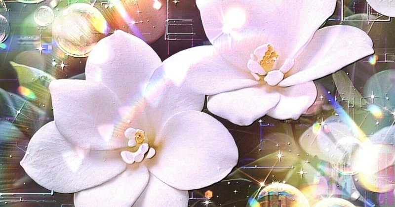 作品: a-2233 夢見る花 Sacred Blossoms