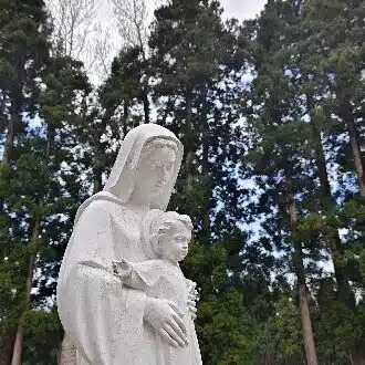 雪華