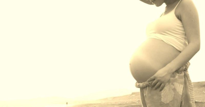 臨月覚書 ふくやま Note