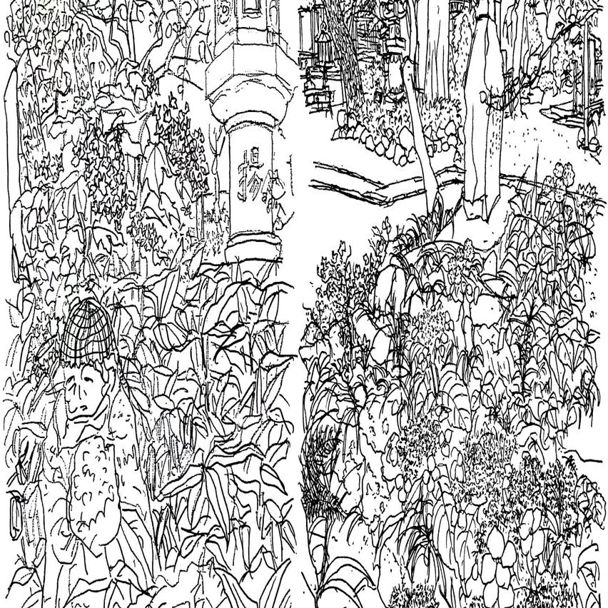 私のスケッチポイント／作品紹介あれこれ＞日野市・高幡不動のアジサイ