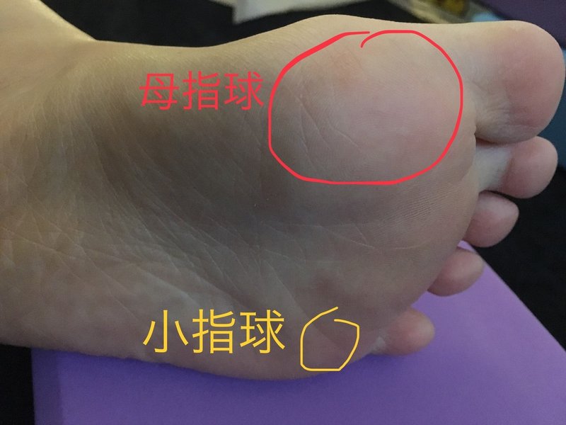 基本の立ちポーズ タダーサナ カナコ Note