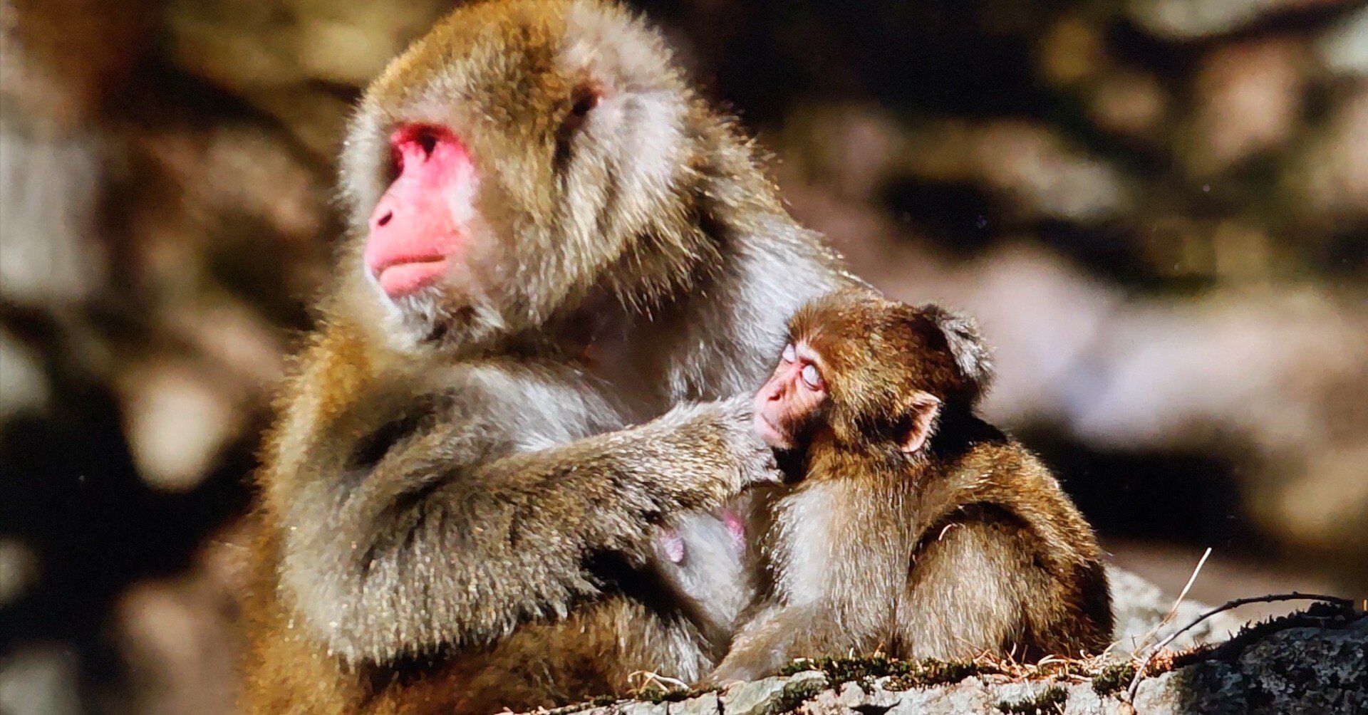 1a152763866b894e9365addd20bce1