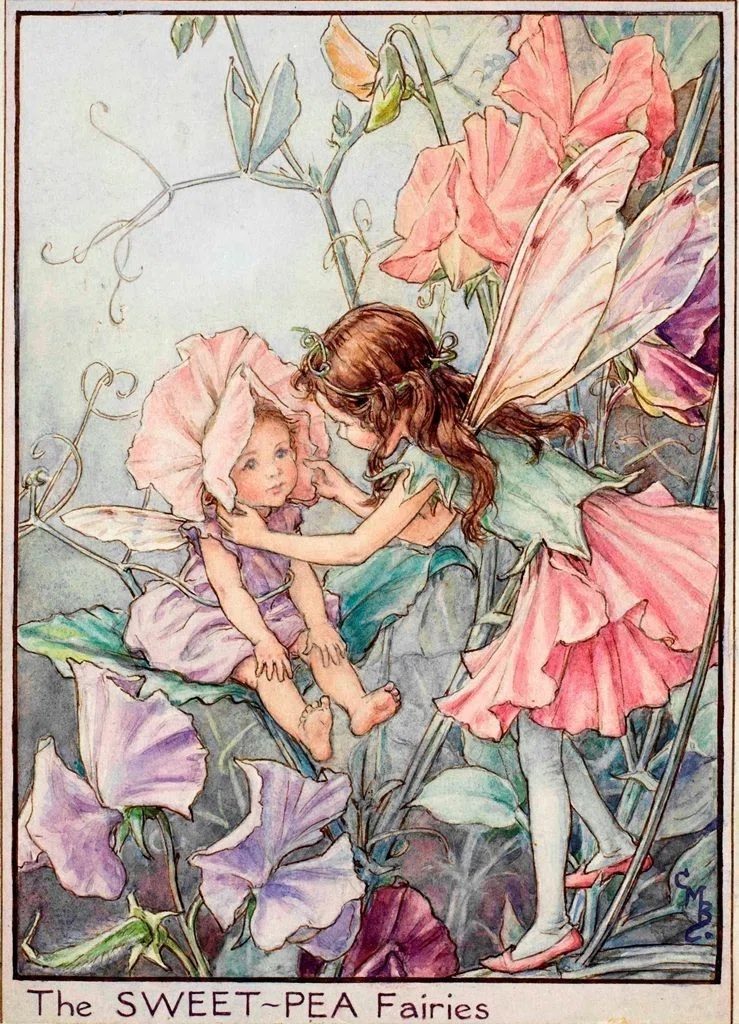 妖精たちにうっとり。挿絵画家シシリー・メアリー・バーカー｜穂葉るな 