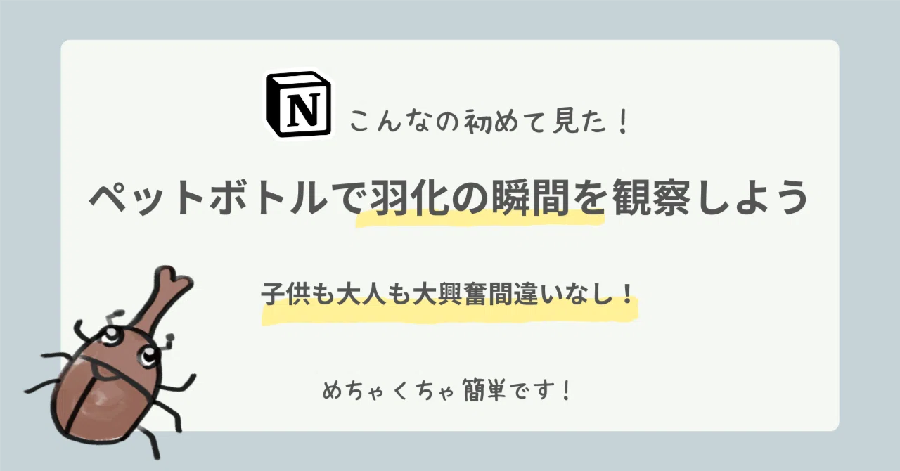 カブトムシの羽化の瞬間をペットボトルで観察してみよう！｜miyuki_notion