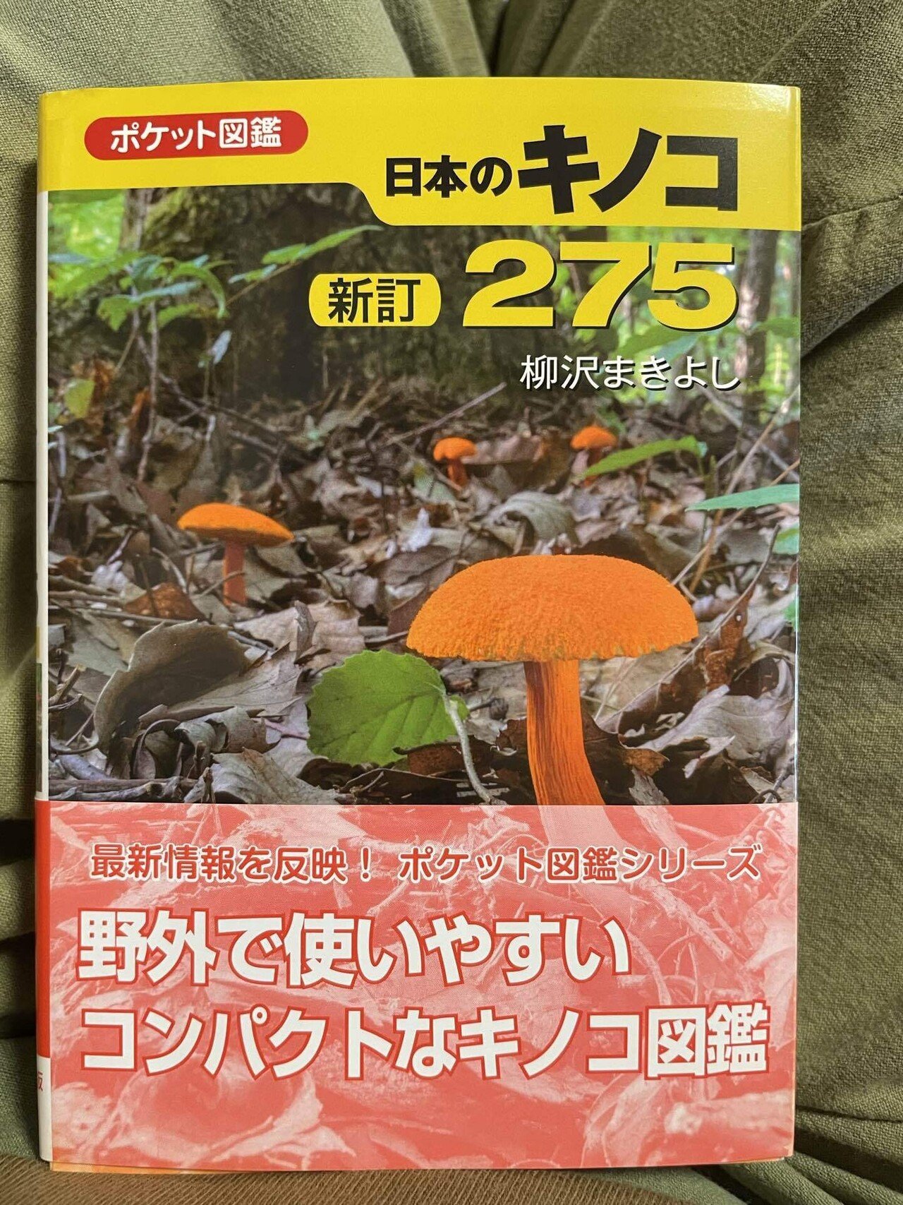 キノコの本を買った｜はんだあゆみ