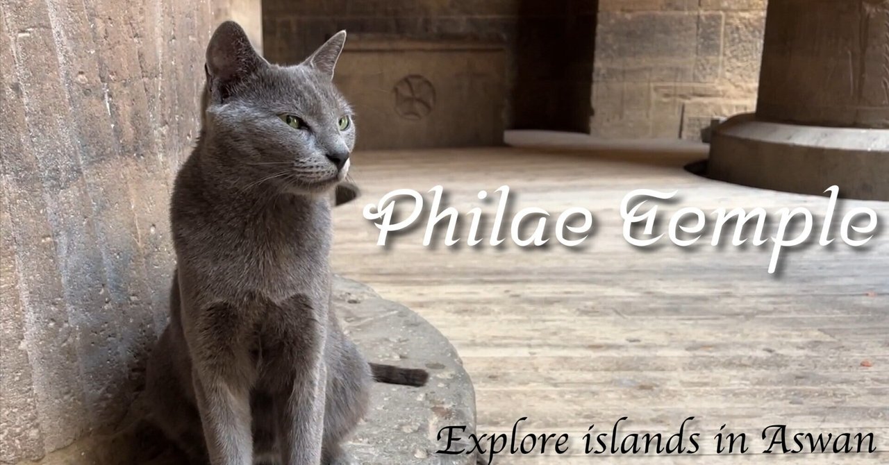 エジプト　可愛いステラ（平形石碑）　I17-2 エジプト 可愛いステラ（平形石碑） I17-2 【公式通販】