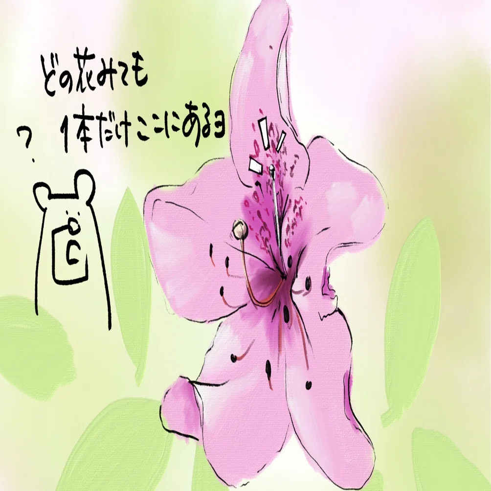 おしべが1本花びらに捕まってる件｜ツツジ｜くますけ｜自然ガイド