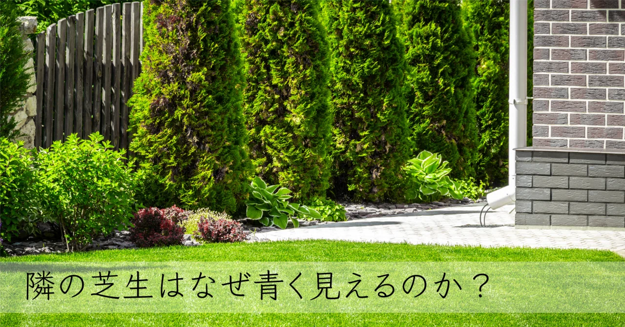 隣の芝生はなぜ青く見えるのか？｜しんしん心理研究所
