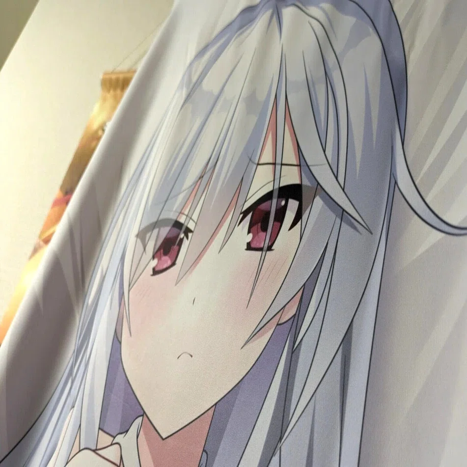 メルカリで抱き枕カバーを買ったら偽物だった話｜なぎますよ
