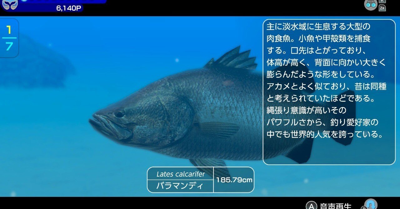 FOREVER BLUE LUMINOUS フォーエバーブルールミナス