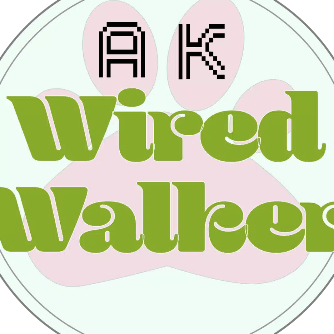 A.K Wired Walker sapporo（骨折完治まであと少し）