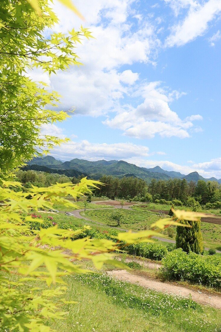 新緑が美しい春。足元は白詰草が咲き誇り、心地よい風が通る